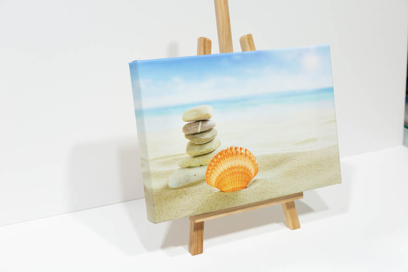 Sea Shell landscape canvas. | _MG_9337.jpg