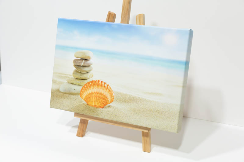 Sea Shell landscape canvas. | _MG_9338.jpg