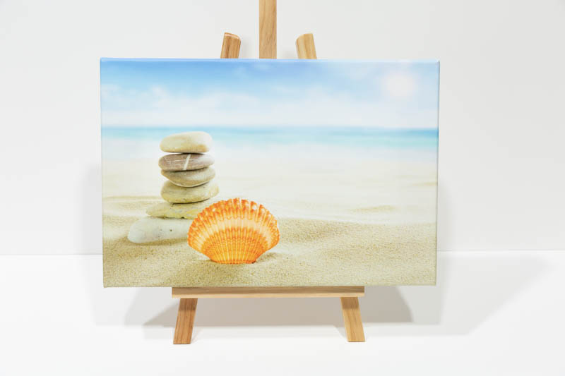 Sea Shell landscape canvas. | _MG_9339.jpg