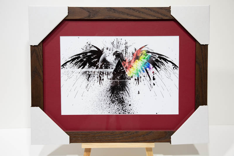 Pink floyd raven. Framed Print with mat | _MG_9372.jpg