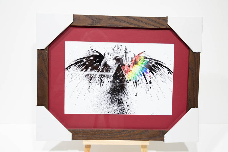 Pink floyd raven. Framed Print with mat | _MG_9373.jpg