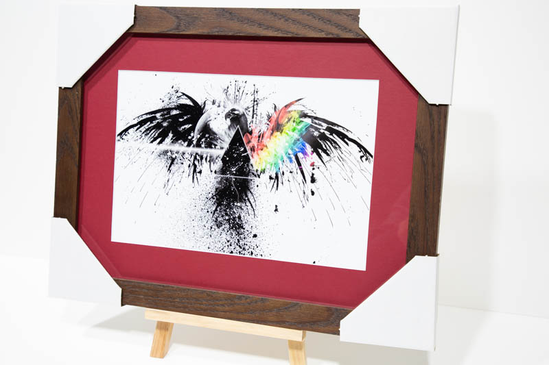 Pink floyd raven. Framed Print with mat | _MG_9375.jpg