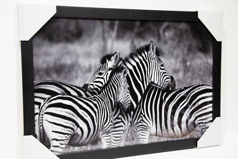 Zebras Poster, Zebra FRAMED Print, Wall Art, Black White Print, Nursery Decor, Animal Black White | _MG_9418.jpg