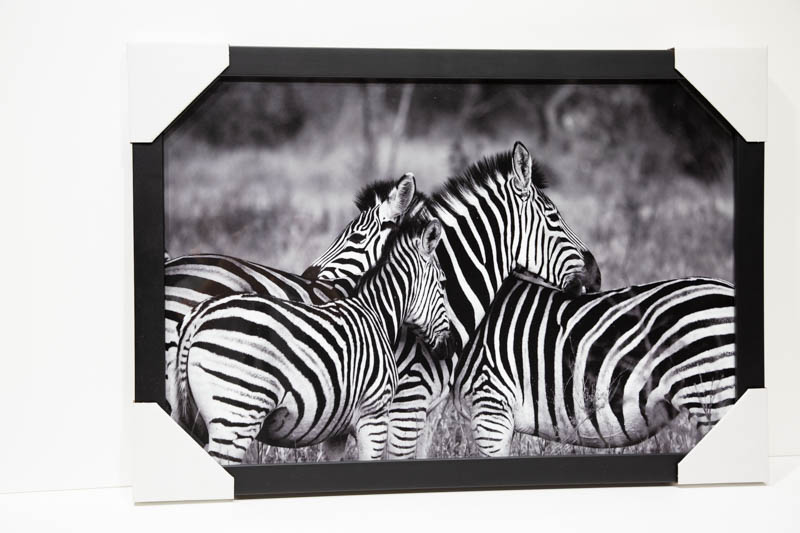 Zebras Poster, Zebra FRAMED Print, Wall Art, Black White Print, Nursery Decor, Animal Black White | _MG_9410.jpg