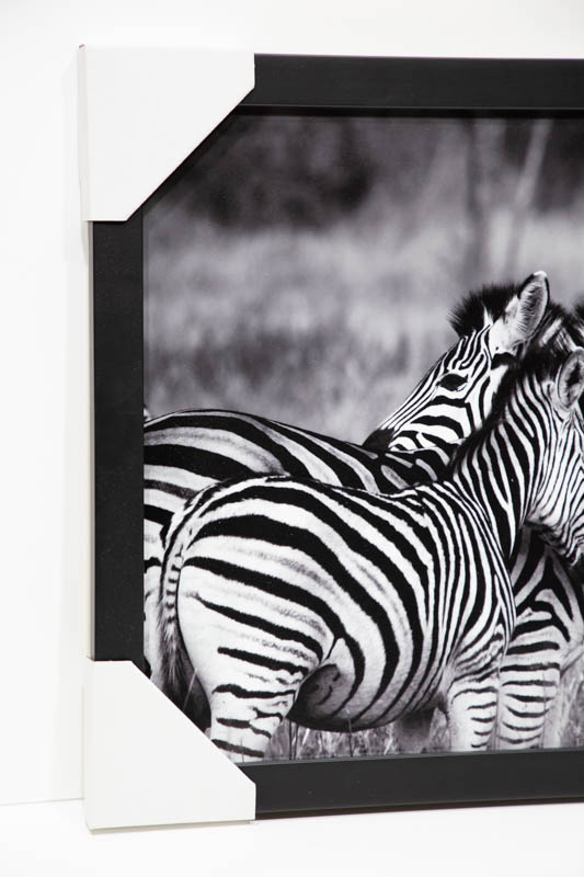 Zebras Poster, Zebra FRAMED Print, Wall Art, Black White Print, Nursery Decor, Animal Black White | _MG_9412.jpg