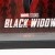 Black Widow movie poster Framed Print | _MG_9407.jpg