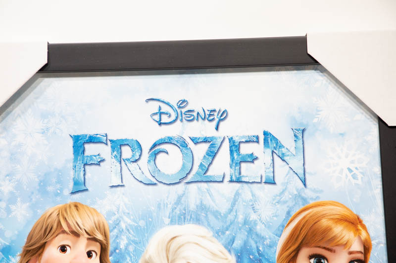 Frozen movie poster Framed Print | _MG_9431.jpg